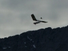 20120409_annecy_05