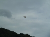 20120630_serrig_08