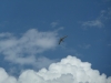 20120804_140158_sommerfest2012