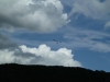 20120804_150515_sommerfest2012