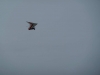20130113_neumagenschnee_31
