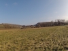 20130303_neumagen_095