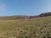 20130303_neumagen_096