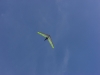 20130616_133824_sommerfest2013