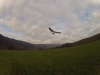 DCIM100GOPRO