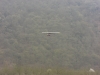 20140316_serrig_52