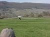 20140329_neumagen_098