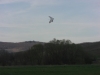 20140329_neumagen_112