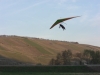 20140329_neumagen_115