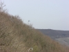 20140330_neumagen_155