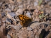 20140413_slt_2014_104