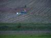 20140420_Neumagen_76
