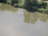 20140727_Serrig_16