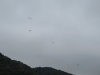 20140914_Neumagen_060