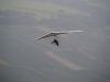 20140914_Neumagen_066