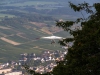 20140914_Neumagen_113