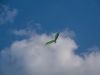 20141003_Neumagen_079
