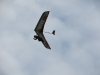 20141207_Serrig_63