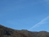 20150207_Neumagen_41