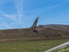 20150207_Neumagen_42