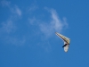 20150418_SLT_011