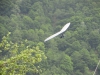 20150516_Serrig_17