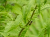 20150522_Riol_01