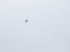 20150523_Pfingsten_62