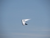 20150607_Neumagen_26