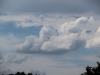 20150717_Serrig_23