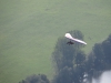 20150926_Neumagen_03