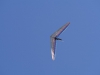 20151010_Neumagen_086
