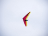 20151031_Neumagen_76