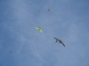 20160903_Sommerfest_102