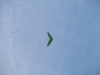 20161023_Neumagen_44