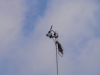 20161029_Neumagen_11