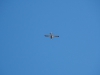 20161030_Neumagen_41