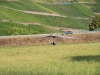 20180901_Neumagen_072