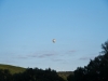 20180901_Neumagen_075