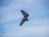 20190119_Neumagen_27