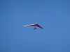 20190215_Neumagen_12