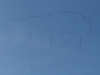 20190216_Serrig_29