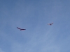20190223_Neumagen_47