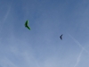 20190223_Neumagen_73