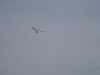 20190223_Neumagen_86