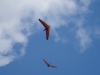 20190331_Neumagen_36
