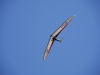 20190419_Neumagen_048