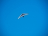 20190629_Neumagen_26