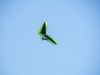 20190629_Neumagen_32