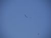 20220327_neumagen_071